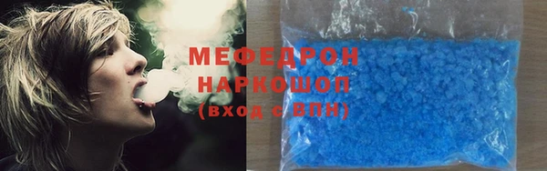 индика Алексин