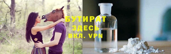 индика Алексин