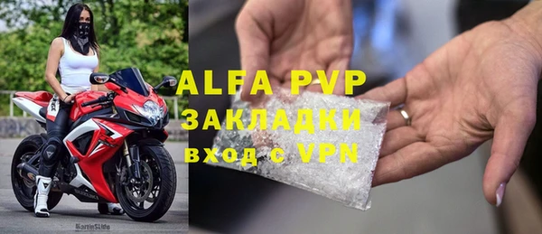 индика Алексин