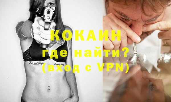 индика Алексин