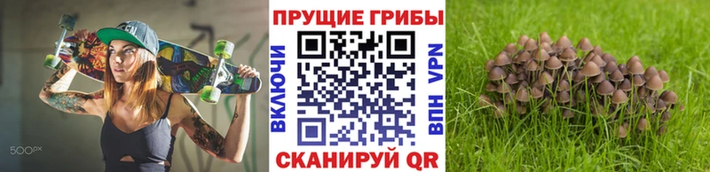 даркнет состав  Омск  Галлюциногенные грибы MAGIC MUSHROOMS 